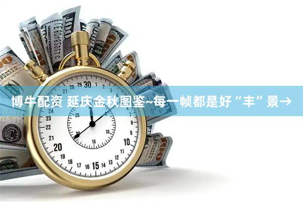 博牛配资 延庆金秋图鉴~每一帧都是好“丰”景→