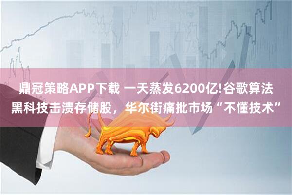 鼎冠策略APP下载 一天蒸发6200亿!谷歌算法黑科技击溃存储股，华尔街痛批市场“不懂技术”