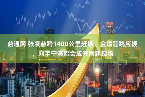 益通网 张凌赫跨1400公里赶场，金靖蹦跳应援，刘宇宁演唱会成开团建现场