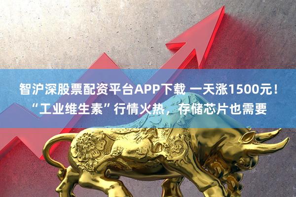 智沪深股票配资平台APP下载 一天涨1500元！“工业维生素”行情火热，存储芯片也需要