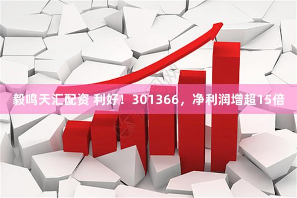 毅鸣天汇配资 利好！301366，净利润增超15倍